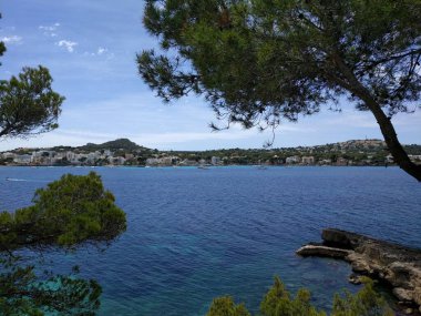 İspanya 'nın Mallorca adasındaki çam dalları arasından karşı kıyıya bakan bir kıyı manzarası. Beyaz evler. Yatlar suyun üstünde. Seyahat konsepti arka planı.