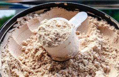 peynir altı suyu proteini