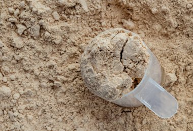 peynir altı suyu proteini