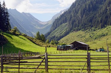 Avrupa Alpleri manzara Zillertal (Au Schwarzachtal Vadisi