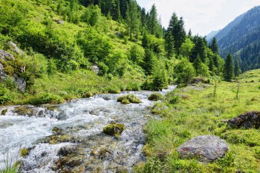 Avrupa Alpleri manzara Zillertal (Au Schwarzachtal Vadisi