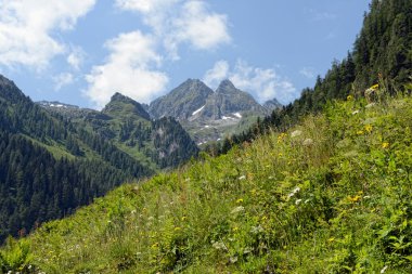 Avrupa Alpleri manzara Zillertal (Au Schwarzachtal Vadisi