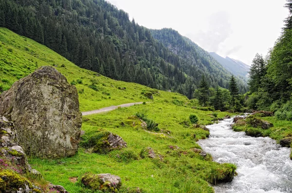 Paisaje de los Alpes europeos del valle de Schwarzachtal en Zillertal (Au — Foto de Stock