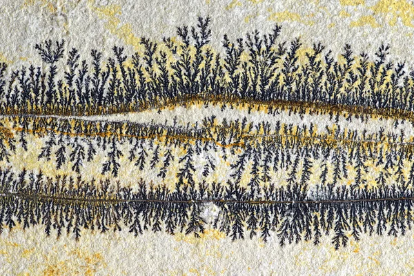 Dendrite kalker kaya. solnhofen (Almanya bulundu)