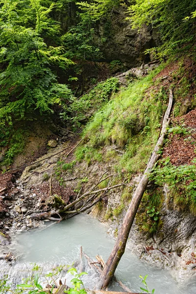 Caminhadas através do desfiladeiro Wolfsklamm nas escadas. Alpes europeus. Pai. — Fotografia de Stock