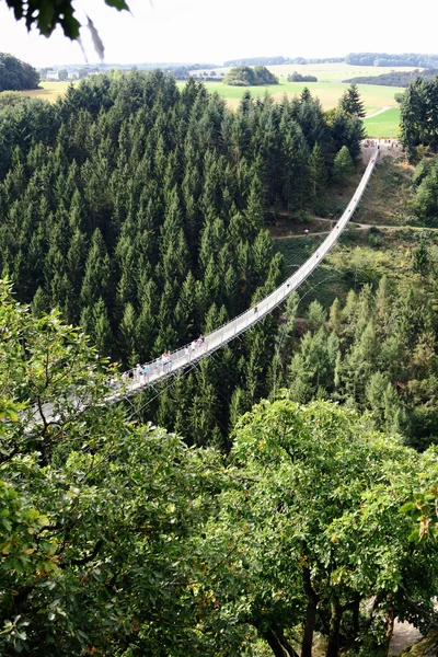 Ponte de suspensão simples Geierlay em Moersdorf em Hunsrueck moun — Fotografia de Stock
