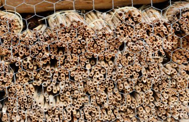 Böcek hotel vahşi yalnız arılar ve diğer böcekler için