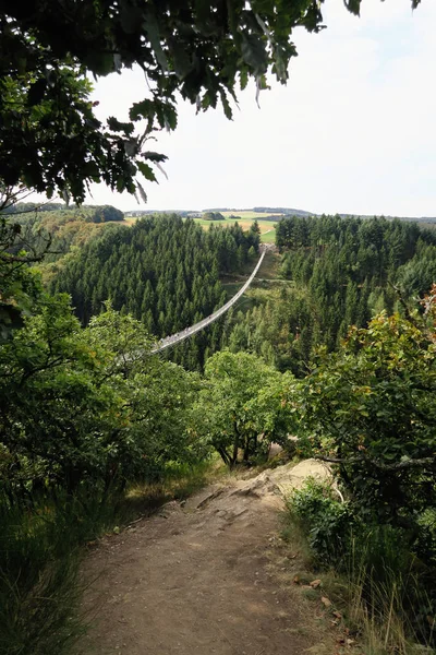 Puente colgante simple Geierlay en Moersdorf en Hunsrueck moun —  Fotos de Stock