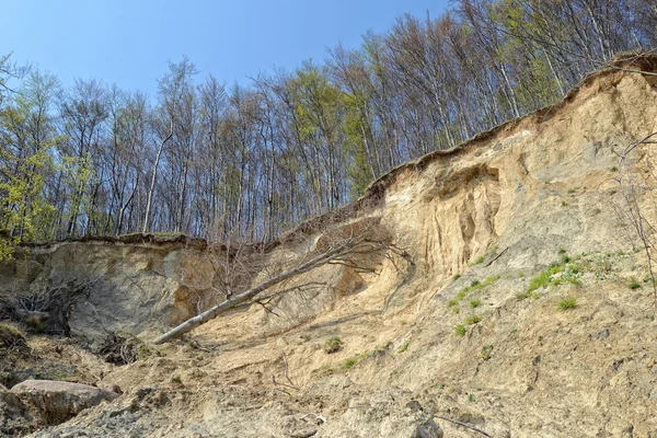 Kridt klippe erosion på Rugen Isle (Tyskland ) - Stock-foto