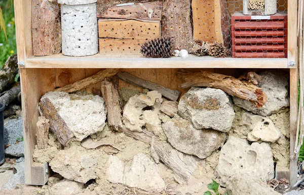 Отель для диких одиноких пчёл и других насекомых — стоковое фото