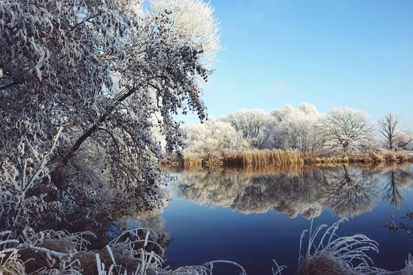 Rime frost krajině na řece Havel (Brandenburg - Německo) — Stock fotografie