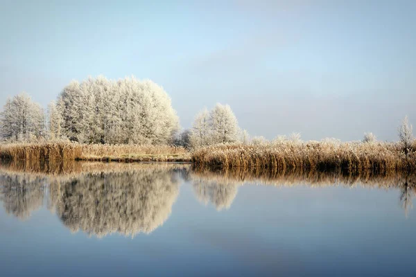 Rime frost krajině na řece Havel (Brandenburg - Německo) — Stock fotografie