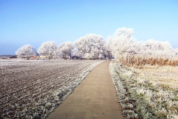 Rime frost landscape at Havelland field (Brandenburg - Germany) — Stock Photo, Image