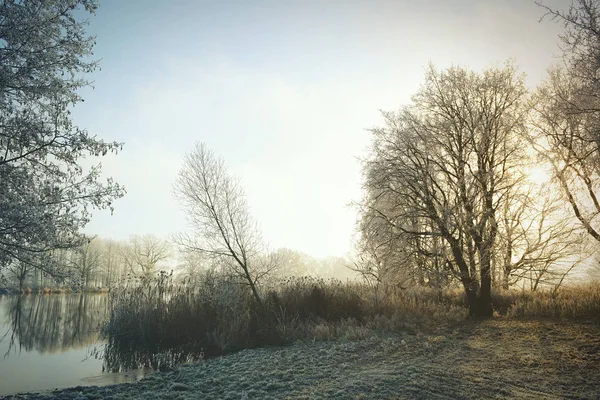 Rime geada paisagem no rio Havel (Brandemburgo - Alemanha ) — Fotografia de Stock