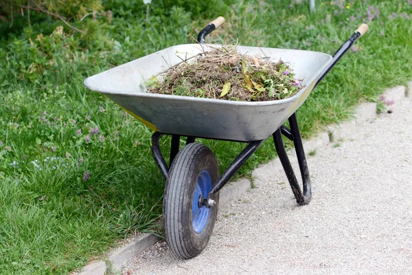 Cleaning and gardening with wheel barrow — Stock Photo, Image