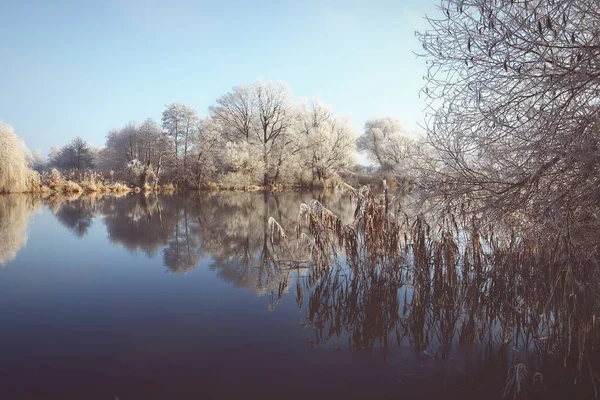 Rime vorst landschap aan de rivier de Havel (Brandenburg - Duitsland) Rechtenvrije Stockfoto's