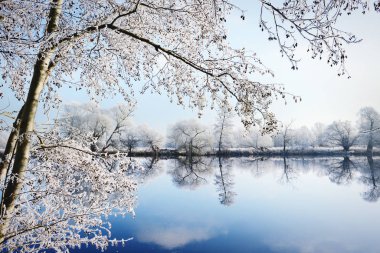 hoarfrost manzara Havel Nehri (Havelland, Almanya)