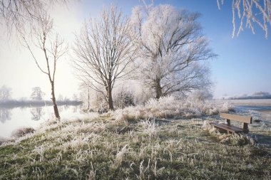hoarfrost manzara Havel Nehri (Havelland, Almanya)