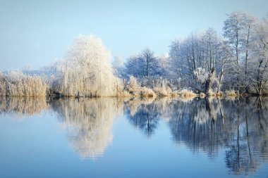 in Rime'ı frost manzara Havel River (Brandenburg - Almanya)
