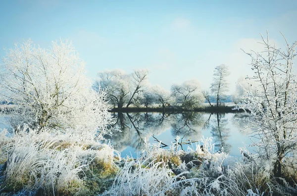 Hoarfrost paisagem no rio Havel (Havelland, Alemanha ) — Fotografia de Stock