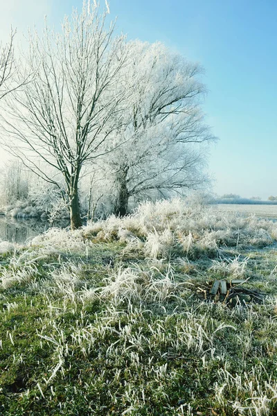 Hoarfrost paisagem no rio Havel (Havelland, Alemanha ) — Fotografia de Stock