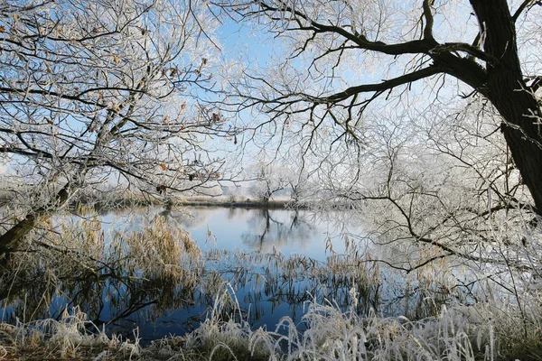 Rym frost krajobraz rzeki Havel (Brandenburgia - Niemcy) — Zdjęcie stockowe