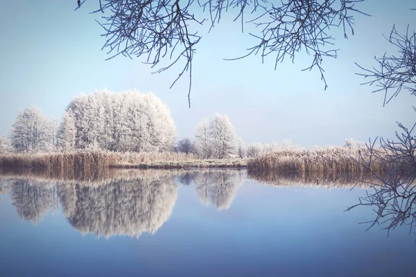 Rime frost krajině na řece Havel (Brandenburg - Německo) — Stock fotografie