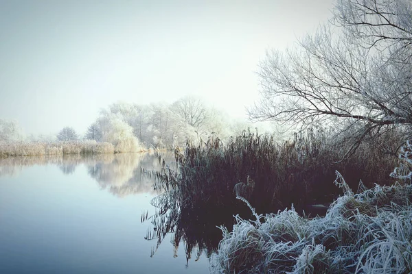 Paisaje helado rime en el río Havel (Brandeburgo - Alemania ) — Foto de Stock