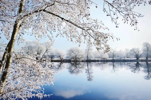 Paysage de givre sur la rivière Havel (Havelland, Allemagne ) Image En Vente