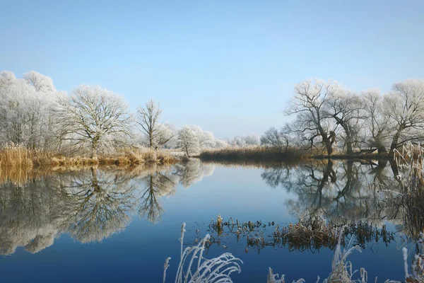 Rimfrost frost landskap vid Havel floden (Brandenburg - Tyskland) Stockbild