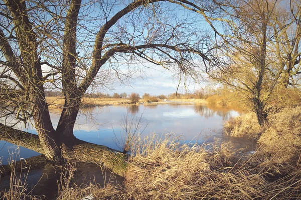 Zima w rzece Haweli w Havelland (Brandenburgia Niemcy) — Zdjęcie stockowe