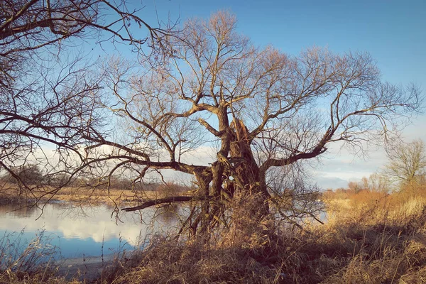 Winter an der Havel in Havelland (Brandenburg)) — Stockfoto