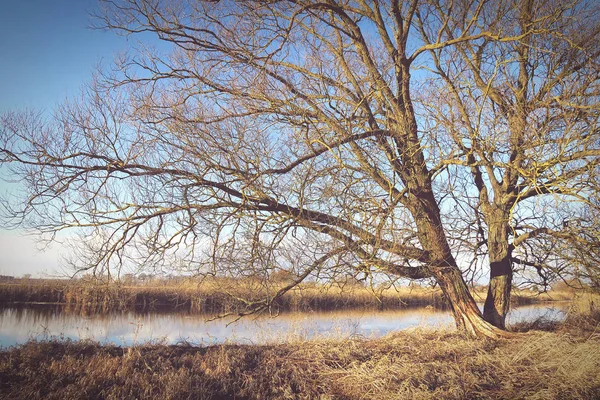 Hiver à Havel River à Havelland (Brandebourg Allemagne ) — Photo