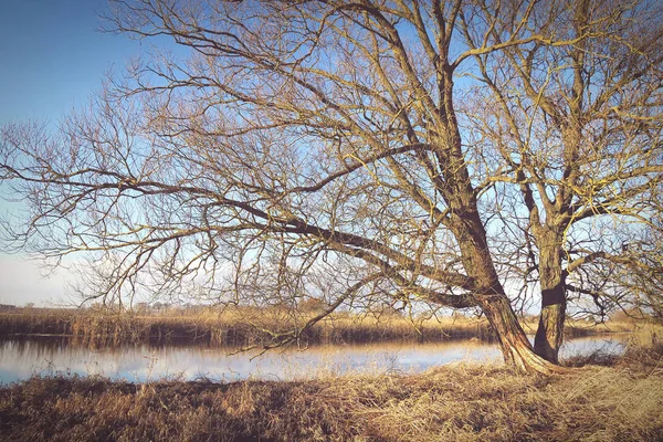 Χειμώνα στον ποταμό Havel στο Havelland (του Βρανδεμβούργου στη Γερμανία) — Φωτογραφία Αρχείου