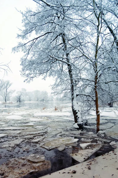 Zugefrorener Havelfluss mit treibenden Eisschollen — Stockfoto