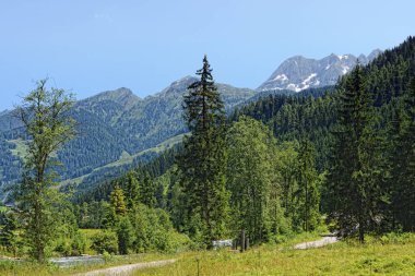 (Avusturya) Avrupa Alpleri'nde Zillertal vadide yaz saati.