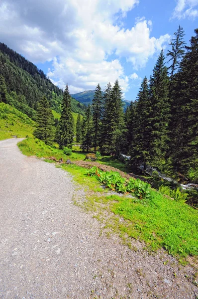 Κοιλάδα Zillertal στις ευρωπαϊκές Άλπεις (Αυστρία) το καλοκαίρι. — Φωτογραφία Αρχείου