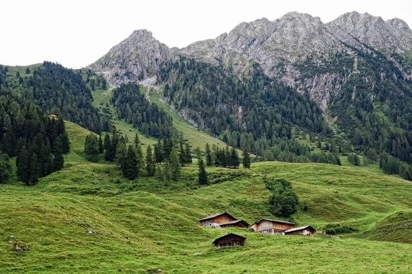 Paysage de la vallée de Zillertal au Tyrol. Alpes européennes (Autriche) en — Photo