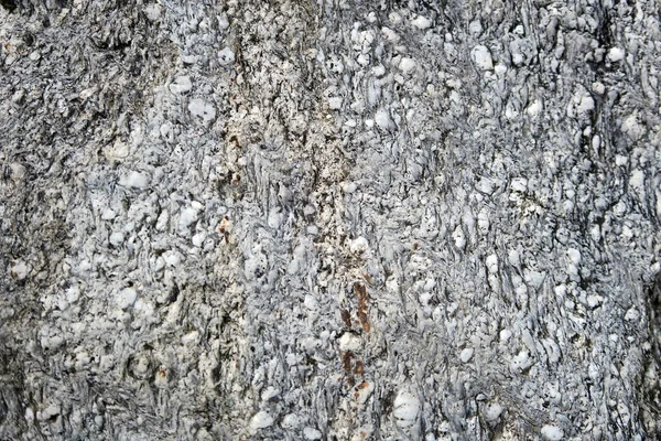 Avrupa Alpleri'nde doğal Traverten taş. tam kare doğa geri — Stok fotoğraf