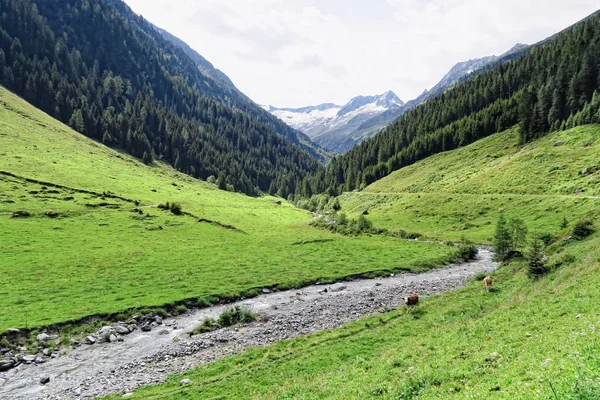 Paisaje del valle de Zillertal en Tirol. Alpes europeos (Austria) en — Foto de Stock