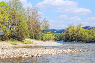 MUR nehir Styria (Avusturya). Bahar.