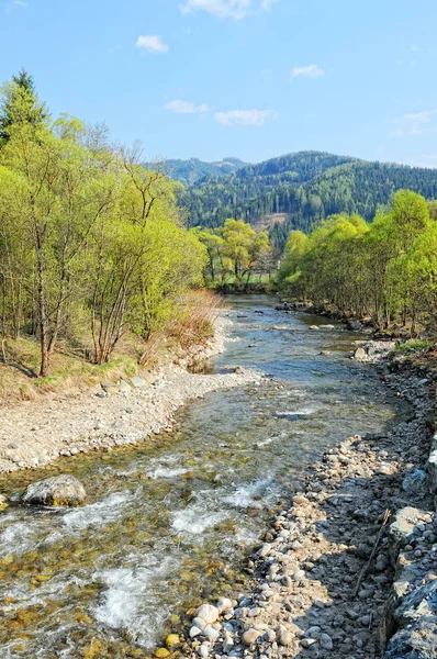 Rio Mur em styria (Áustria). Primavera. . — Fotografia de Stock