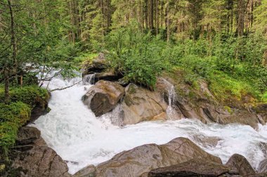 Gerlos riving flowing through pine tree forest in european alps/