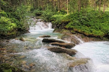 Gerlos riving flowing through pine tree forest in european alps/