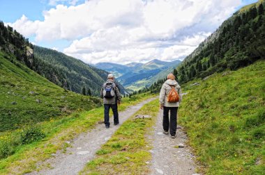 İnsanlar Zillertal Vadisi manzara Alp hiking