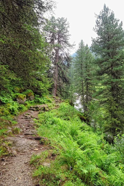 Τοπίο της Ευρωπαϊκής Άλπεων Zillertal κοιλάδα (Τιρόλο Αυστρία) — Φωτογραφία Αρχείου