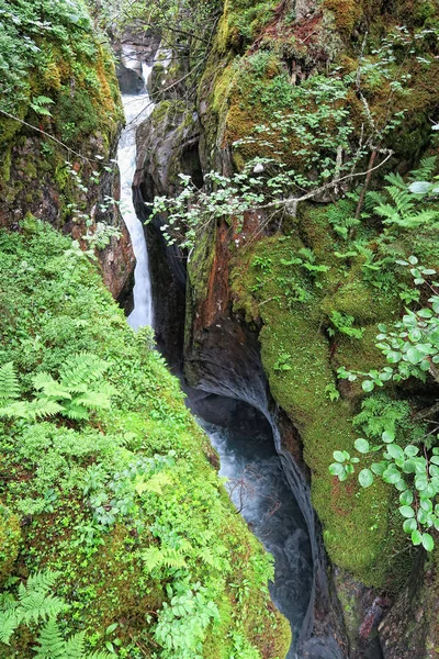 Cascada defileului Leiternkammerklamm de la Wilder-Gerlostal (Tirol — Fotografie, imagine de stoc