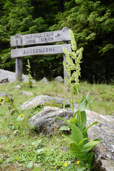 Hohe Tauern National Park sinal de informação no vale Gerlostal  ( — Fotografia de Stock
