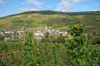 üzüm bağları, Moselle Nehri (Rhineland-Palatinate Ge üzerinden görüntülemek