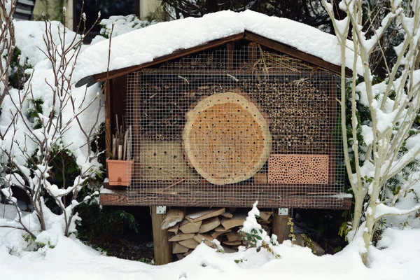 snow at insect hotel with wild bees and wesps